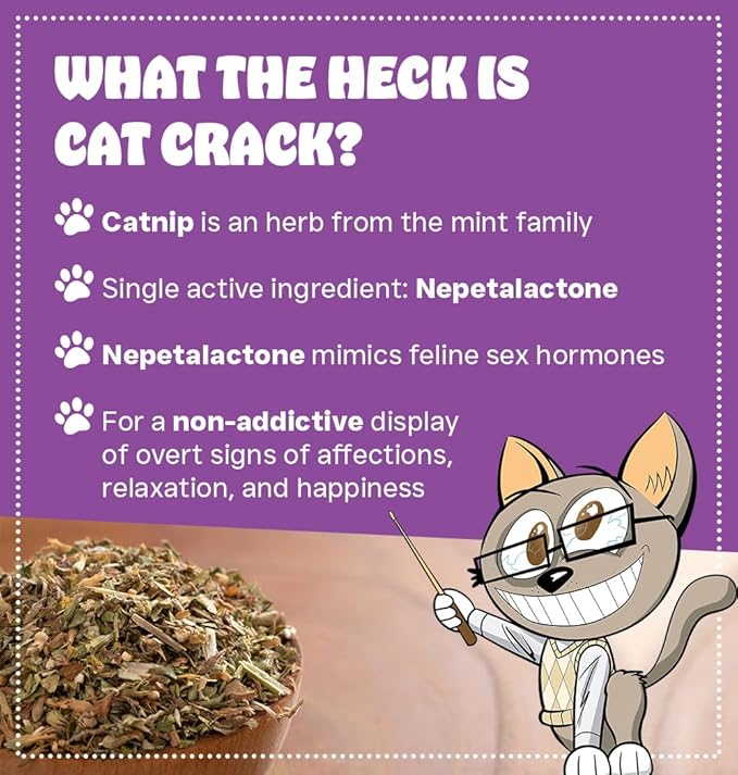 Cat Crack Catnip 1 Cup Bundled with Organic Catnip 1 Cup, Premium Blend Safe for Cats, Infused with Maximum Potency Your Kitty is Sure to Go Crazy