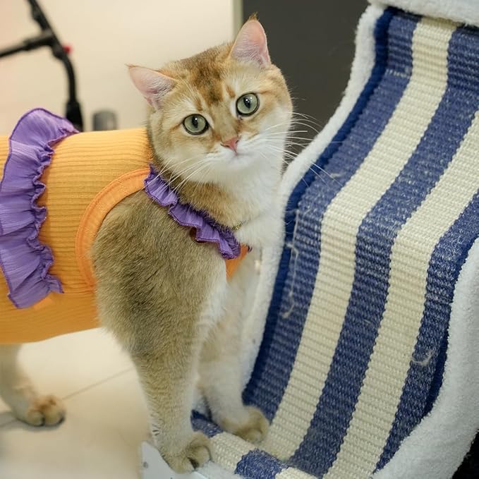 Cat Recovery Suit,Kitten Onesie After Surgery,E-Collar Alternative for Abdominal Wound and Skin Diseases,Soft Breathable Bodysuit After Spay（Orange-l）