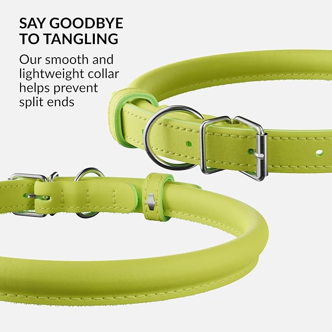 CollarDirect Rolled Leather Dog Collar, Soft Padded Round Puppy Collar, Handmade Genuine Leather Collar Dog Small Large Cat Collars 13 Colors (15-19 Inch, Lime Green Smooth)