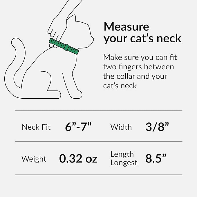 CollarDirect Leather Cat Collar with Bell - Kitten Small and Big Cat Collar for Boy Cats, Girl Cats with Safety Elastic Strap (Neck Fit 6"-7", Black)