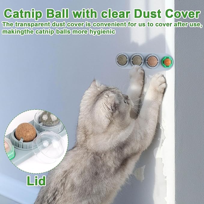 CCINEE Catnip Balls for Cats Wall Catnip Toys Edible Cat Toys for Cat Lick Safe Healthy Kitten Chew Toys Teeth Cleaning Dental Cat Toys(4 Flavor)