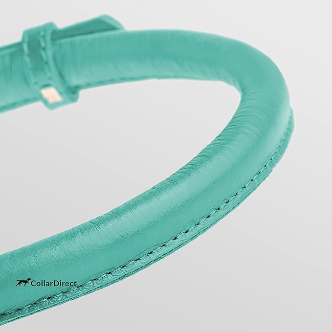 CollarDirect Rolled Leather Dog Collar, Soft Padded Round Puppy Collar, Handmade Genuine Leather Collar Dog Small Large Cat Collars 13 Colors (6-7 Inch, Mint Green Textured)