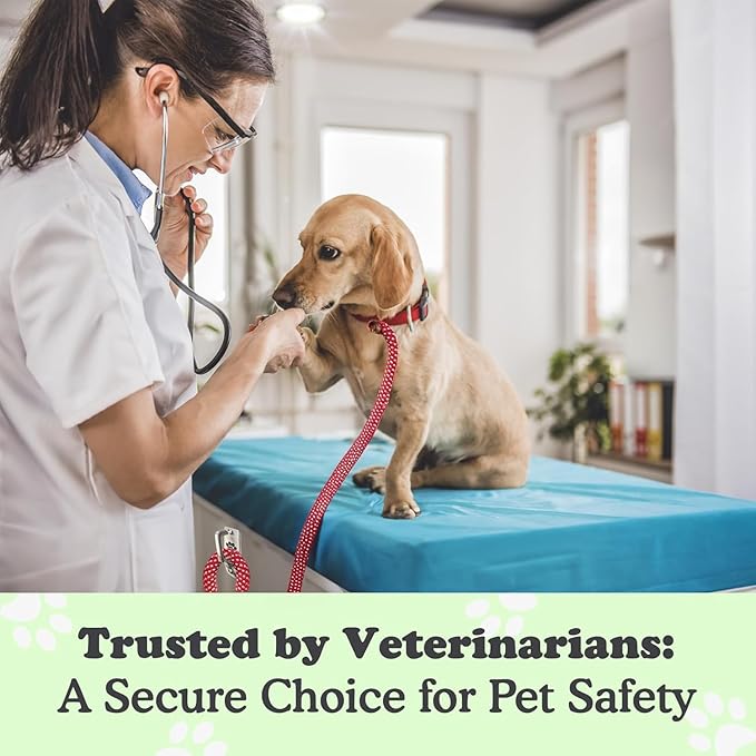 Canine Hitch- Secure Dog Leash Parking Mounted Indoor – Outdoor Wall Hook - Tie Out Stainless Steel Practical Lead Management for Home & Business, Standard Size 2 Pack