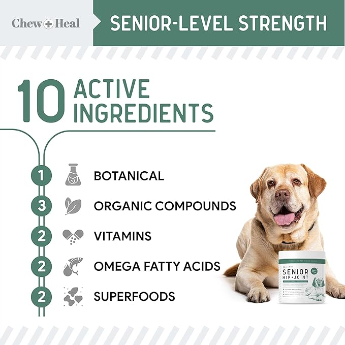 Glucosamine for Dogs Hip and Joint Supplement - 60 Senior Dogs Mobility Soft Chews - Made with Glucosamine, MSM, Chondroitin, Green Lipped Mussels and More - Made in The USA