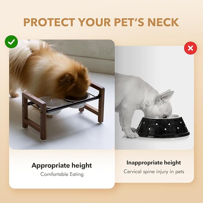 5.5inch Ceramic Adjustable Raised Double Bowls Set with Stand, 3 Heights Elevated, 2 Placement Options,Food and Water Dishes for Puppy, Cats（Double Bowls+Stand, Reactived Glaze -White