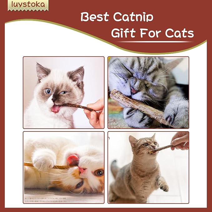 Cat Toys - Silvervine & Matatabi Catnip Toys, 10PCS Indoor Kitty Chew Sticks & Wand Toys for Bored Cats