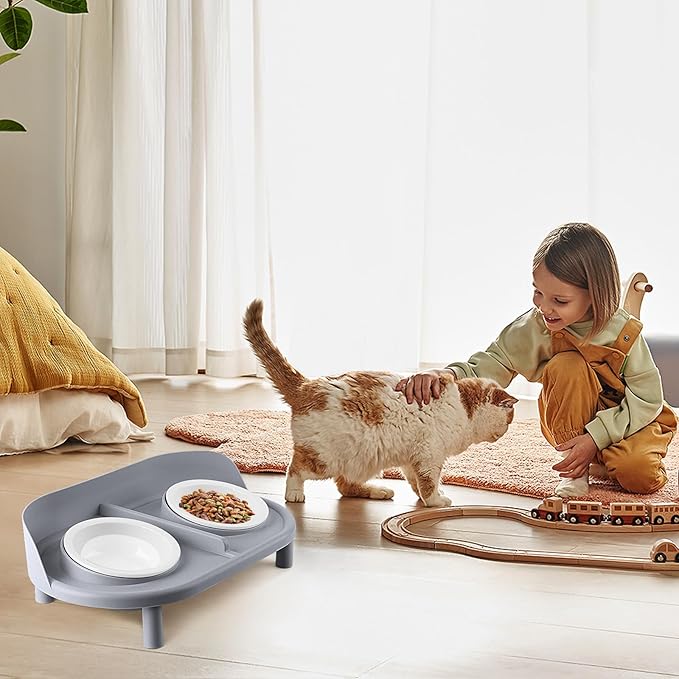 Elevated Cat Bowls, Tilted Rised Cat Food and Water Bowl with 2 Pcs Ceramic Pet Bowls, Rised Stand, Pet Dish Anti Vomiting Feeding Station for All Sized Cats & Small Dogs (Grey)