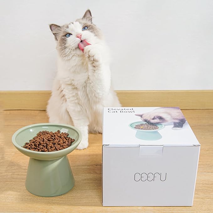 Extra Wide Elevated Ceramic Cat Bowl, 6.2" Shallow Dish for Whisker Fatigue Relief, 5" Height for Easy Feeding, Durable Raised Cat Food Bowls, Pack of 2, Sage Green