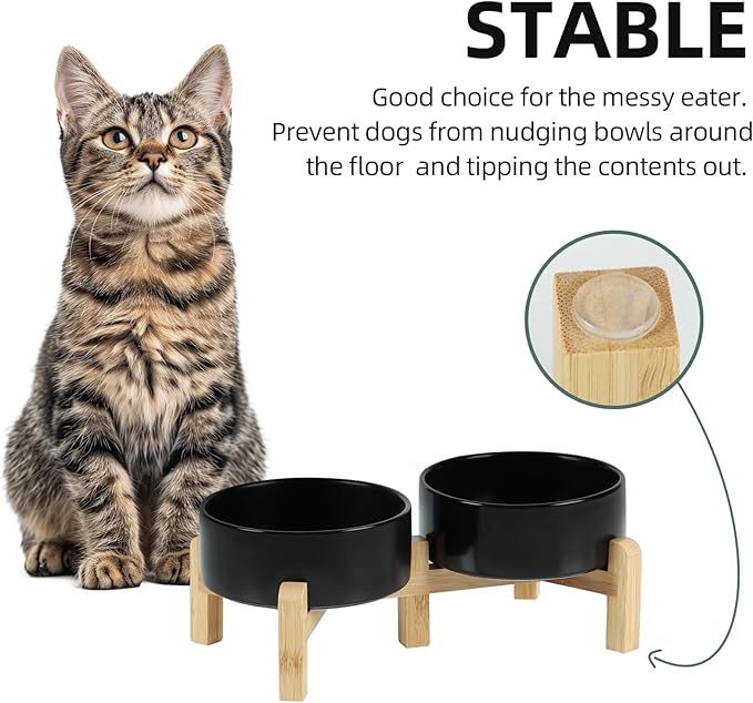 Ceramic Raised Double Bowls Set with Stand, 2 Heights Elevated, Food & Water Bowls for Small Breed Dogs, Cats, Kitty, Weighted Dog Dishes, Pet Bowls(5.1'',13.5oz, Black)