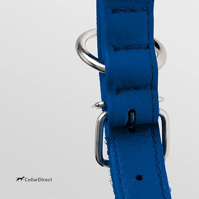 CollarDirect Rolled Leather Dog Collar, Soft Padded Round Puppy Collar, Handmade Genuine Leather Collar Dog Small Large Cat Collars 13 Colors (11-14 Inch, Deep Blue Textured)
