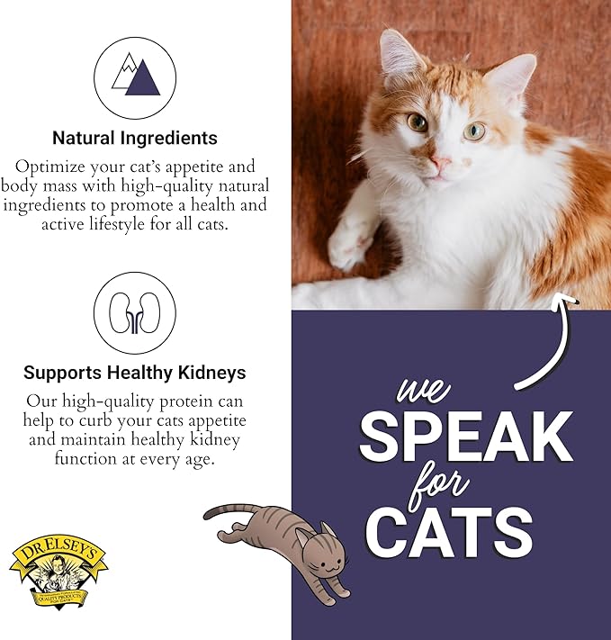 Dr. Elsey's Clean Protein Chicken Home Style Recipe All-Meat Pouch (Pack of 12)