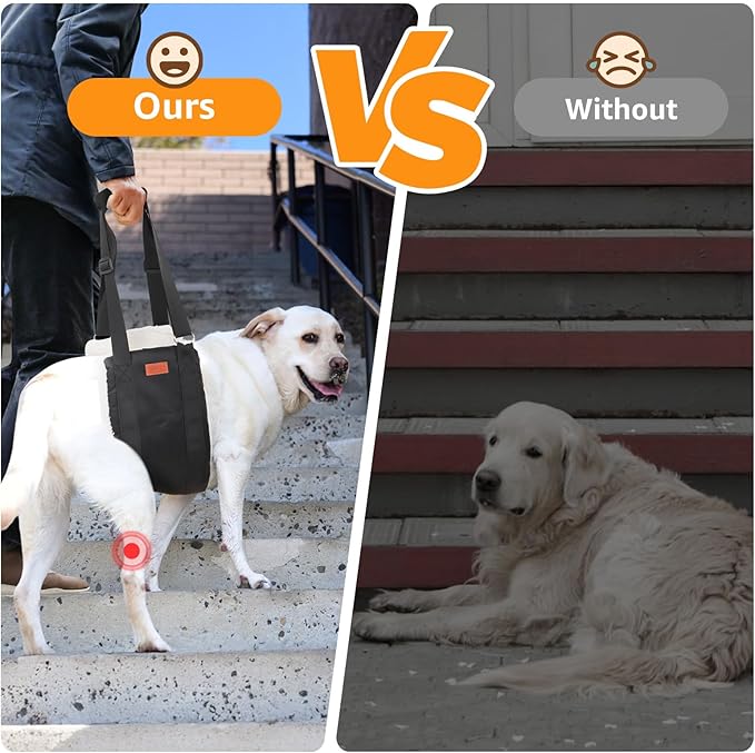 Adjustable Dog Lift Harness Dog Sling for Large Dogs Hind Leg Support Soft Lift Support and Rehab Harness for Weak Rear Legs, Helps Senior, Injured, Disabled and After ACL Surgery Dogs Large