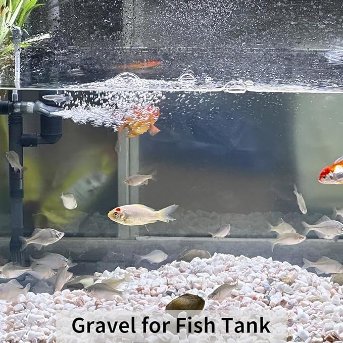 5lbs Natural White Pea Gravel Pebbles for Succulent Cactus, 3/8 Inch White Rocks for Plants Indoor, Vase Fillers, Bowl, Landscaping and Outdoor Garden Decorative White Stones