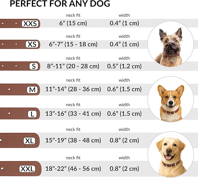 CollarDirect Rolled Leather Dog Collar, Soft Padded Round Puppy Collar, Handmade Genuine Leather Collar Dog Small Large Cat Collars 13 Colors (6 Inch, Cinnamon Smooth)