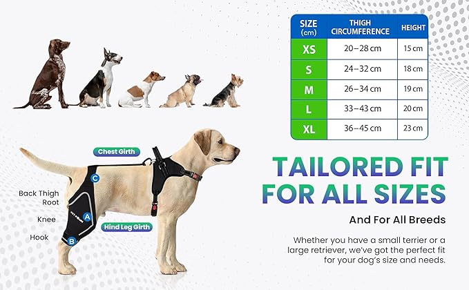 Dog ACL Knee Brace for Back Left Leg - with Integrated Harness - for Cruciate Ligament Injuries, Patellar Luxation, Post-Surgery Recovery. Durable, Breathable Material, Eases Pain - (Small)