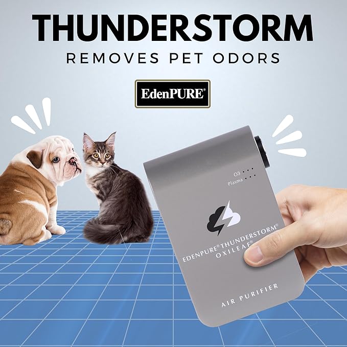 EdenPURE Thunderstorm III Air Purifier – Small Plug-In Ozone Generator & Ionizer – Eliminates Odors, Pet Smells, Smoke, Mold – Filter-Free Portable Cleaner for Home, Travel, Car, Office Use