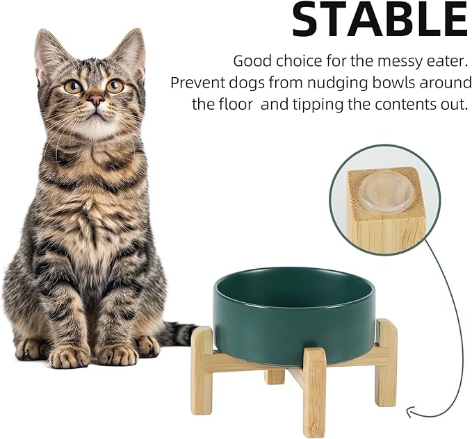 Ceramic Raised Dog and Cat Bowl Set, 2 Heights Elevated Stand, Food and Water Bowl for Small Breed Dogs, Cats, Kitty, Weighted Dog Dishes, Pet Bowls(5.1'',13.5oz, Green)
