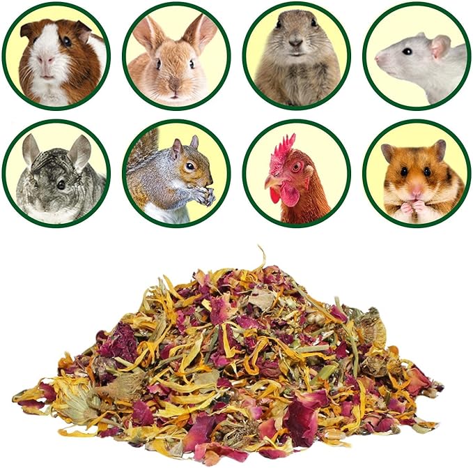 Flower Fusion Treat (1/2 lb) - Healthy Natural Dried Flower Herbivore Treat - Chinchillas, Guinea Pigs, Rabbits, Prairie Dogs, Degus, Hamsters, Rats, Squirrels, Sugar Gliders & Other Small Pets