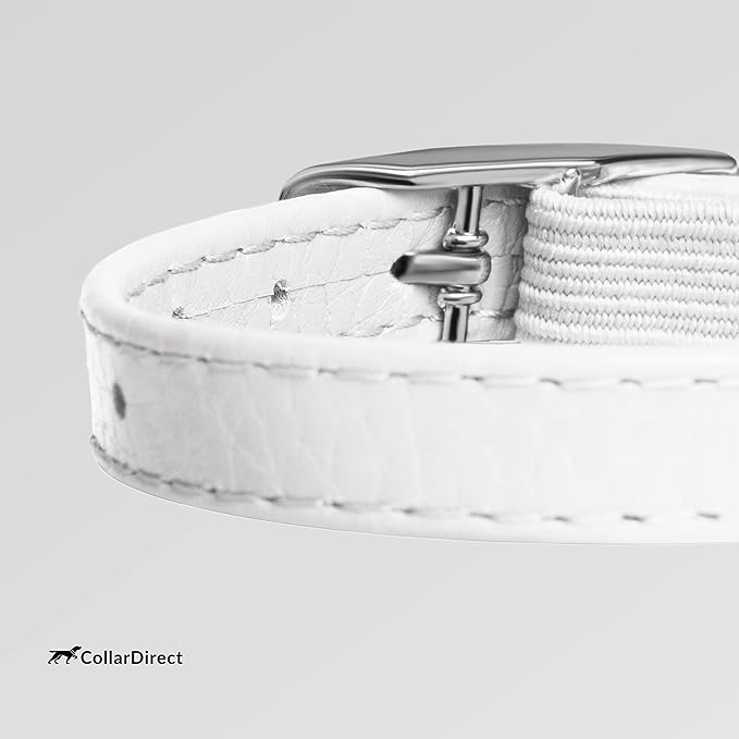 CollarDirect Leather Cat Collar, Cat Safety Collar with Elastic Strap, Kitten Collar with Bell Black Blue Red Orange Lime Green (8-11 Inch, White)