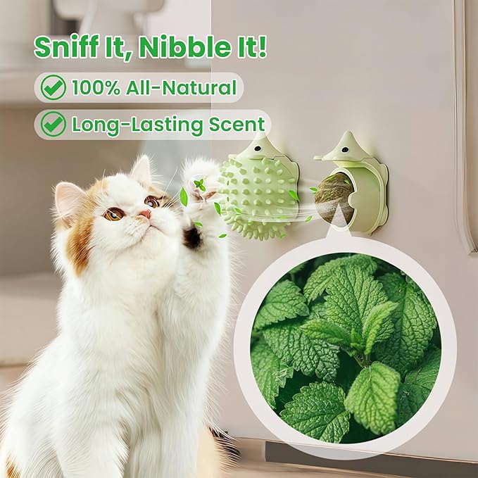 6 Pcs Catnip Ball Toys with Rubbing Shell, Lickable Roller Catnip Toys for Cats Chew, Edible and Refillable Kitten Toys, Teeth Cleaning Dental Indoor Cat Treats Toys, 3 Shells 6 Balls