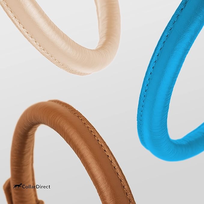 CollarDirect Rolled Leather Dog Collar, Soft Padded Round Puppy Collar, Handmade Genuine Leather Collar Dog Small Large Cat Collars 13 Colors (15-19 Inch, Light Blue Textured)
