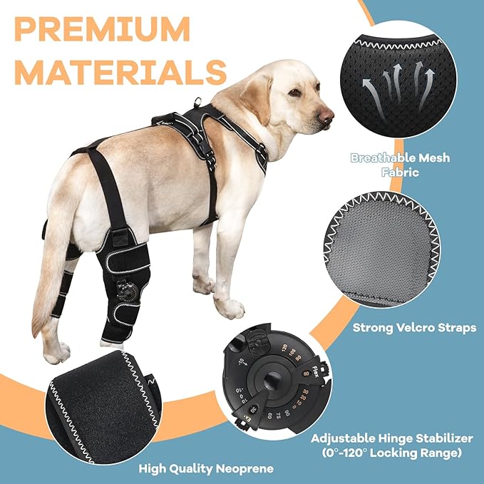Dog Knee Brace with Adjustable Support – ACL & CCL Tear Recovery, Post-Surgery Stabilization, Mobility Aid for Rear Legs – Includes Secure Chest Harness for Dogs(Left,L)