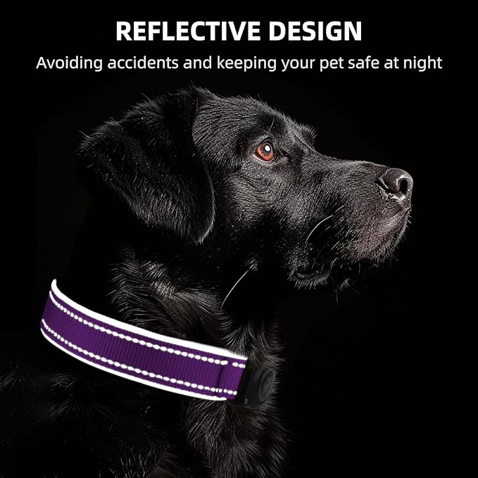 Airtag Dog Collar - 100% Waterproof Air tag Dog Collar Holder for Apple AirTag, Reflective, Soft Padded, Everlasting, GPS Dog Collar for Small Medium Large Dogs (Purple, L)