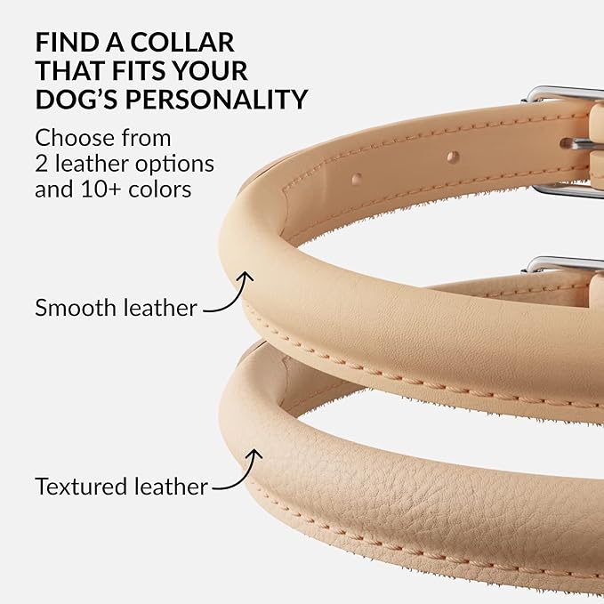 CollarDirect Rolled Leather Dog Collar, Soft Padded Round Puppy Collar, Handmade Genuine Leather Collar Dog Small Large Cat Collars 13 Colors (13-16 Inch, Beige Smooth)