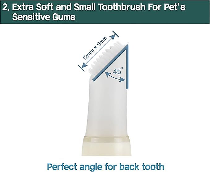 Cat Toothbrush & Toothpaste Kit – Flavor-Free Dental Gel for Cats – Finger Brush & Handle for Daily Oral Care – Plaque & Tartar Cleaning for Kittens and Adult Cats (2 Pack, 2 Count)