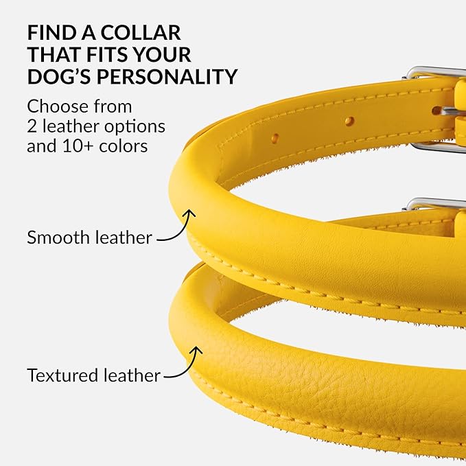 CollarDirect Rolled Leather Dog Collar, Soft Padded Round Puppy Collar, Handmade Genuine Leather Collar Dog Small Large Cat Collars 13 Colors (8-11 Inch, Yellow Smooth)