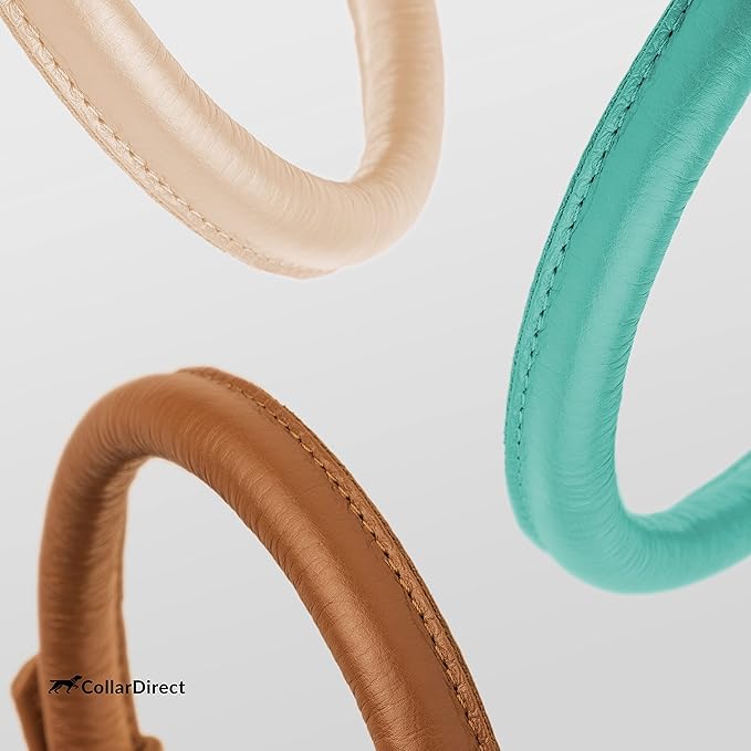CollarDirect Rolled Leather Dog Collar, Soft Padded Round Puppy Collar, Handmade Genuine Leather Collar Dog Small Large Cat Collars 13 Colors (6-7 Inch, Mint Green Textured)