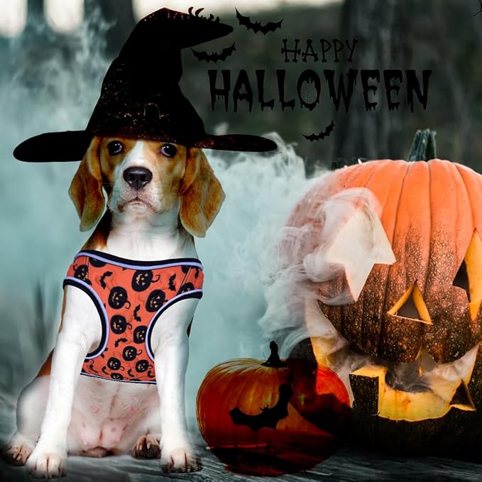 Comfort Fit Dog Harness – Adjustable No-Pull Vest for Small, Medium & Large Dogs – Soft Padded Step-in Design for Easy Control – Ideal for Walking, Running & Training – All-Weather Premium Dog Vest