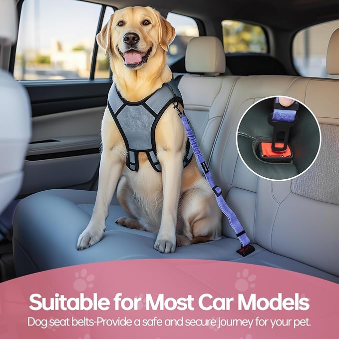 3 Pack Thickened Dog Seat Belt, Set Retractable Dog Car Adjustable Seatbelts for Vehicle Nylon Pet Safety Heavy Duty & Elastic & Durable Car Harness for Dogs, Blue