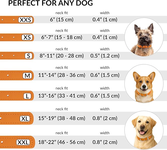 CollarDirect Rolled Leather Dog Collar, Soft Padded Round Puppy Collar, Handmade Genuine Leather Collar Dog Small Large Cat Collars 13 Colors (6-7 Inch, Orange Smooth)