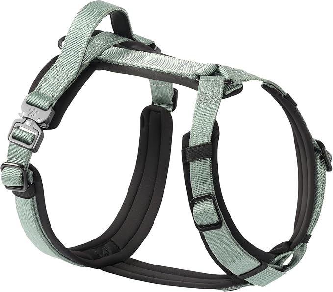 CLEPAWS Dog Harness for X-Large Dogs, No Pull Dog Harness Easy Walk with Metal Hardware, Ergonomic Y-Shaped Design, Soft Padding, Padded Handle, Durable High-Tensile Nylon (Seabreeze, XL)