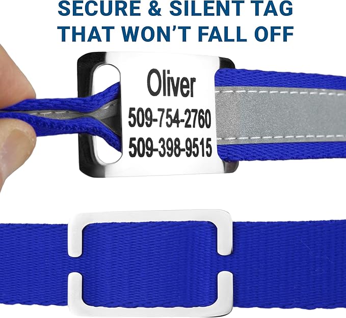 GoTags Reflective Personalized Dog Collar with Nameplate, Adjustable Dog Collar with Custom Engraved Steel Slide On Pet ID Tag, Silent, No Noise Dog Tag for Large Medium or Small (Blue, Large)