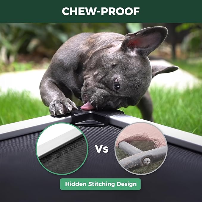 FXW TitanNest Chew-Proof Elevated Dog Bed, Raised Cot for Indoor/Outdoor/Camping Use, Durable & Waterproof Cooling Pet Bed for Large Dogs, 50.0" L x 31.0" W x 7.3" H, Black