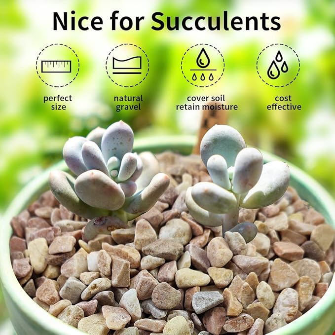 5lbs Natural Pea Gravel Pebbles, 3/8 Inch Decorative Succulent Rocks Pebbles for Indoor Plants. River Rocks for Vase and Outdoor Garden Landscaping Rocks