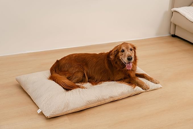 FUNNY FUZZY Washable Dog Bed,Reversible Plush Dog Crate Mat, Soft Fluffy Kennel Pad,Pet Sleeping Mattress for Jumbo,X-Large Sized Dogs Breeds,2XL,48"× 31",Beige