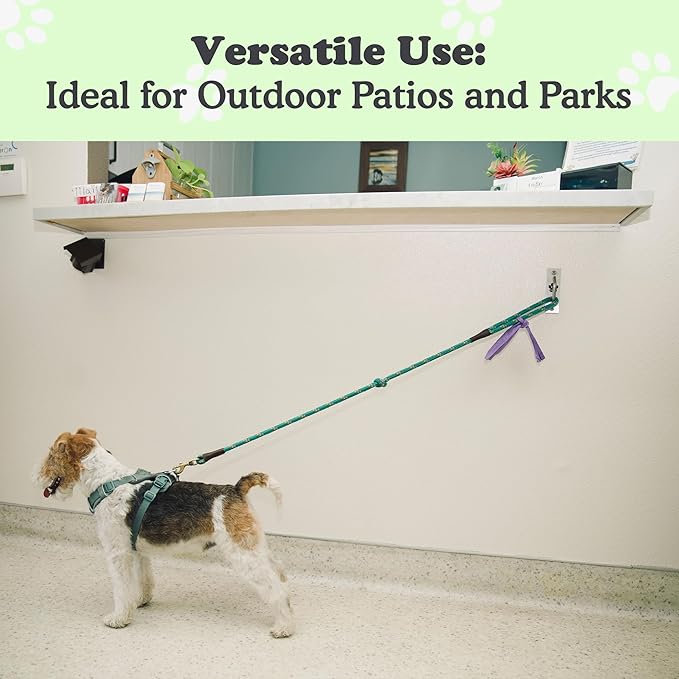 Canine Hitch- Secure Dog Leash Parking Wall Slim Hook with Clip 2 Pack - Tie Out Stainless Steel & ABS Mounting Plate for Strength - Practical Lead Management for Home & Business