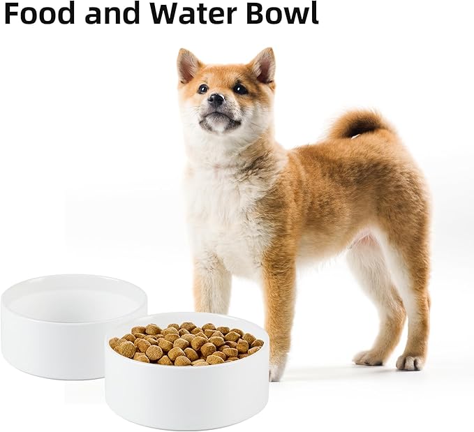 Ceramic 6.1inch Non-Slip Dog Food and Water Bowl for Small & Medium Breed Dogs,Pet Bowl for Replacement, Protects Cervical Spine (White)