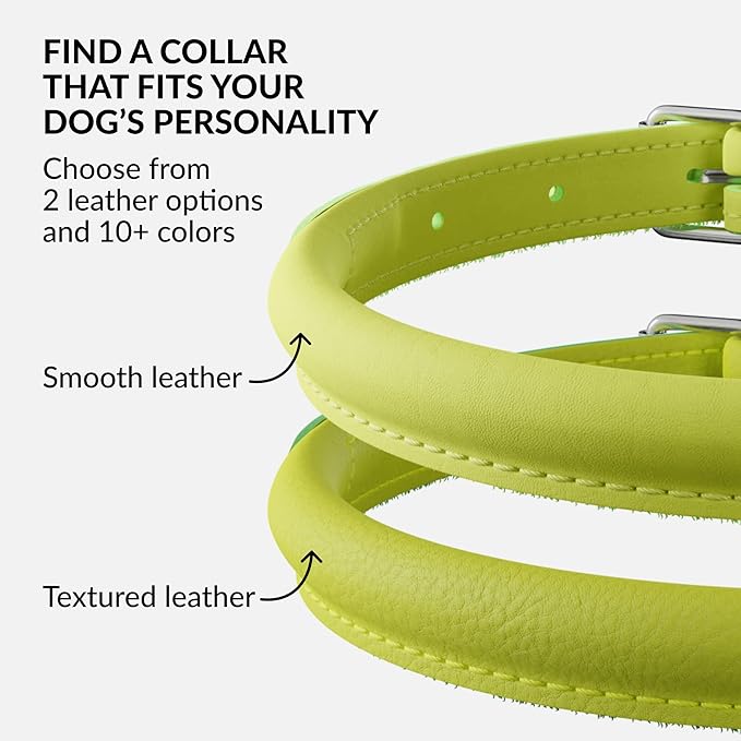 CollarDirect Rolled Leather Dog Collar, Soft Padded Round Puppy Collar, Handmade Genuine Leather Collar Dog Small Large Cat Collars 13 Colors (6 Inch, Lime Green Smooth)