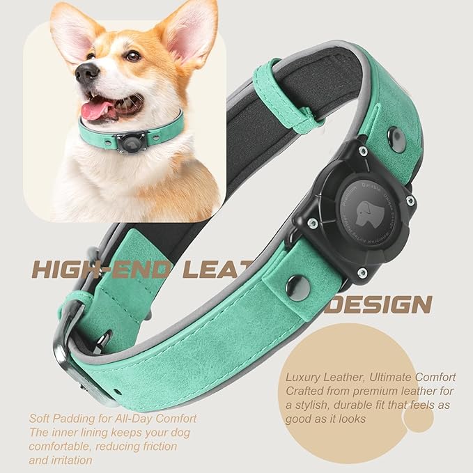 AirTag Dog Collar - Leather Dog Collar with Air Tag Holder | IPX8 Waterproof, Reflective, High - End, Adjustable Soft Padded | Dog GPS Tracker Collars Fit for Medium Large Dogs (Teal, M)