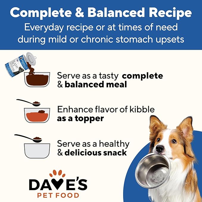 Dave's Dog Food Bland Diet Dog Food for Sick Dogs with Upset Stomach (Chicken & Rice), Economy Size for Large Pups or Big Eaters, Sensitive Stomach, 22 oz (Case of 12)