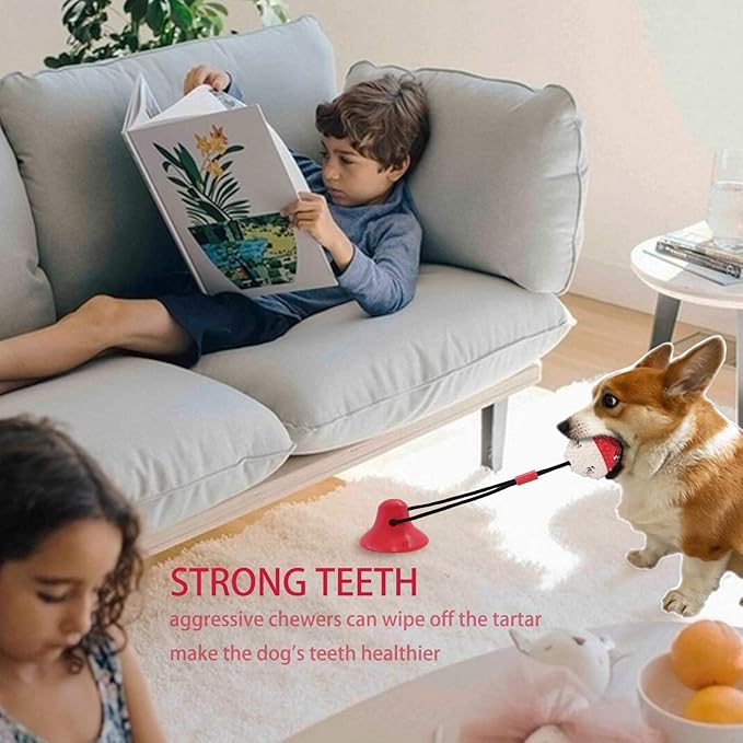 Dog Toys, Dog Chew Toys for Aggressive chewers,Rope with Suction Cup for Puppy Training Treats Teething for Boredom, Small Dog Puzzle Toy Treat Food Dispensing Ball (red)
