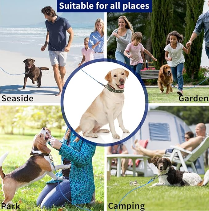 Dog Tie Out Cable, 100FT, Blue, Suitable for Dogs up to 350 pounds, Lightweight, Non-Winding, for Outdoor Camping, Yard