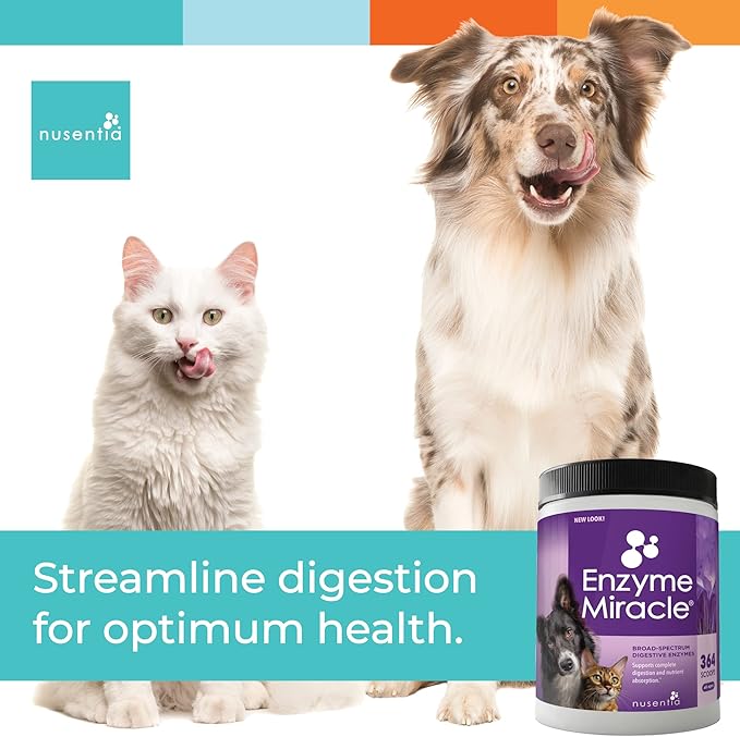 Digestive Enzymes for Dogs & Cats : Protein, Carbs, Starches & Fats Digestion : Supports Diet Change : Enzyme Miracle (364 Scoops, Powder)