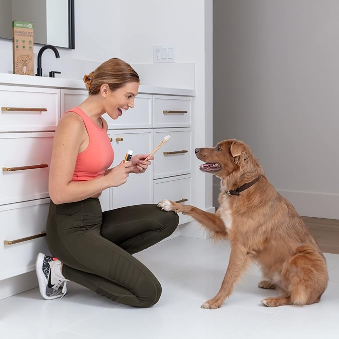 Dog Toothbrush I 4-Pack Two Sided Bamboo Toothbrush for Small and Large Dogs & Cats I Soft Bristles Gentle for Easy Dog Teeth Brushing & Dental Care