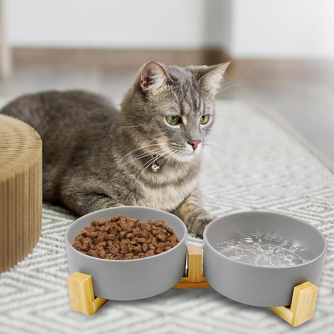 Ceramic Cat Bowls with Bamboo Stand,Non-Slip Small Dog Food and Water Bowl Set Non-Spill Cats Feeder Dish Modern Cute Weighted Cat Dishes for Small Dogs Puppy Cats Kitten(Grey)