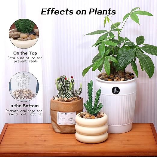 Calofulston 2.2lb Drainage Rocks for Potted Plants, 1/5 Inch Small Pebbles for Plants, Aquarium, Fish Tank, Terrarium, Succulent, Vases, Decorative Pea Gravel, Mixed Color